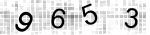 capatch
